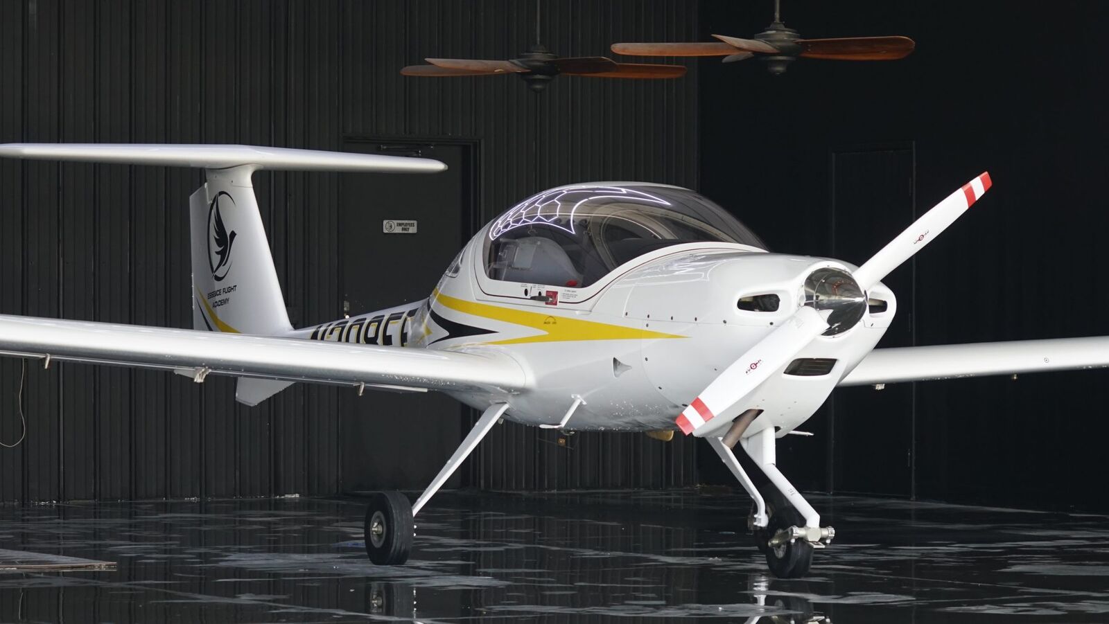 Student and instructor completing a pre-flight inspection on a Diamond trainer at Van Nuys Airport